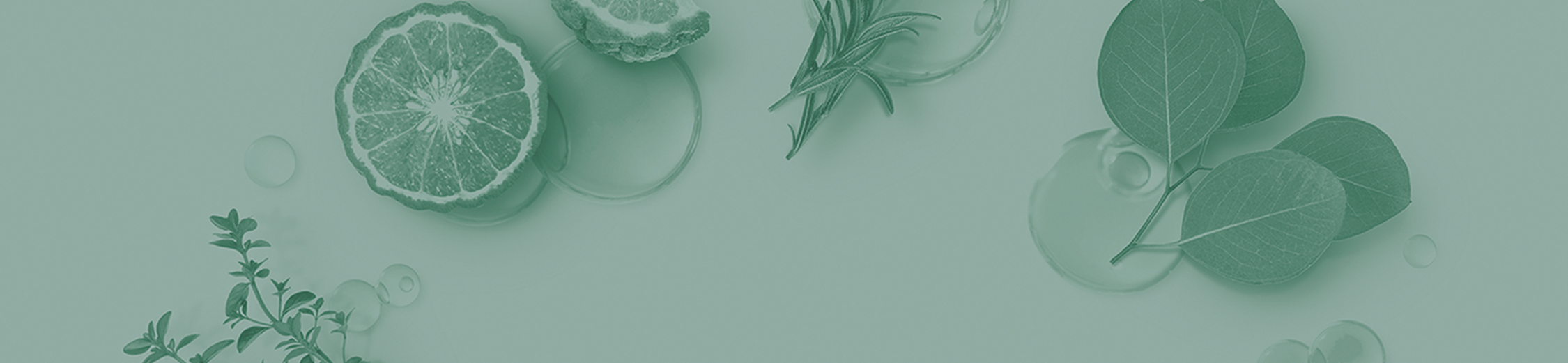 Oily Scalp Protocol Banner